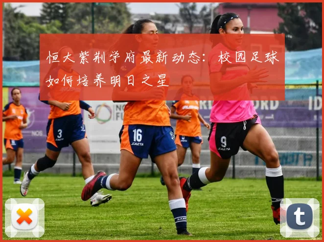 恒大紫荆学府最新动态：校园足球如何培养明日之星