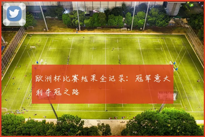 欧洲杯比赛结果全记录：冠军意大利夺冠之路