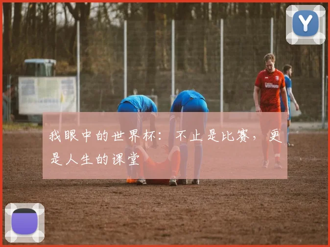 我眼中的世界杯：不止是比赛，更是人生的课堂