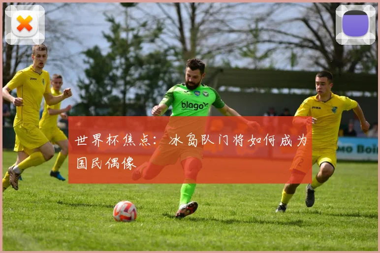世界杯焦点：冰岛队门将如何成为国民偶像