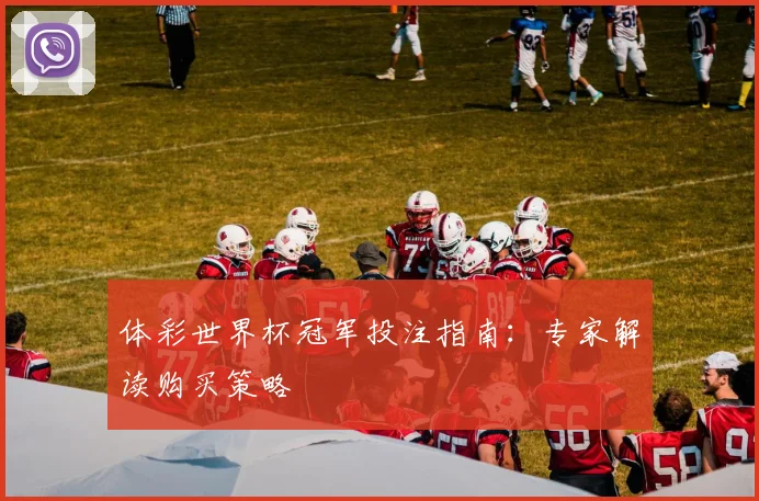 体彩世界杯冠军投注指南：专家解读购买策略