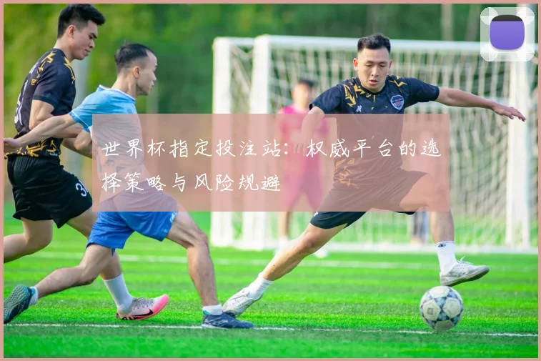 世界杯指定投注站：权威平台的选择策略与风险规避