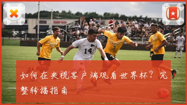 如何在央视客户端观看世界杯？完整转播指南