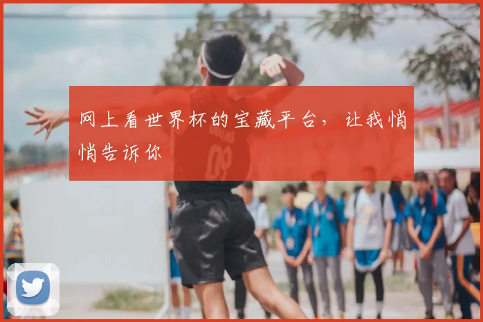网上看世界杯的宝藏平台,让我悄悄告诉你