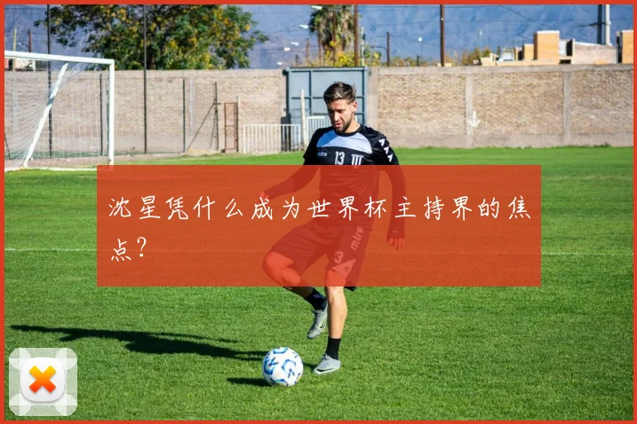 沈星凭什么成为世界杯主持界的焦点？