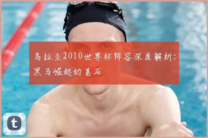 乌拉圭2010世界杯阵容深度解析：黑马崛起的基石