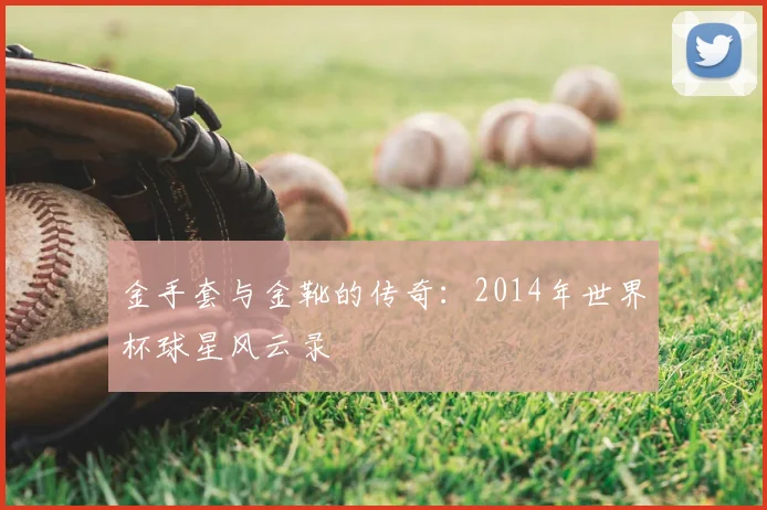金手套与金靴的传奇：2014年世界杯球星风云录