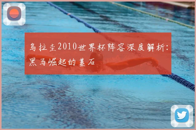 乌拉圭2010世界杯阵容深度解析:黑马崛起的基石