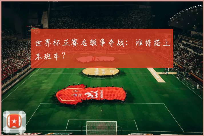 世界杯正赛名额争夺战：谁将搭上末班车？