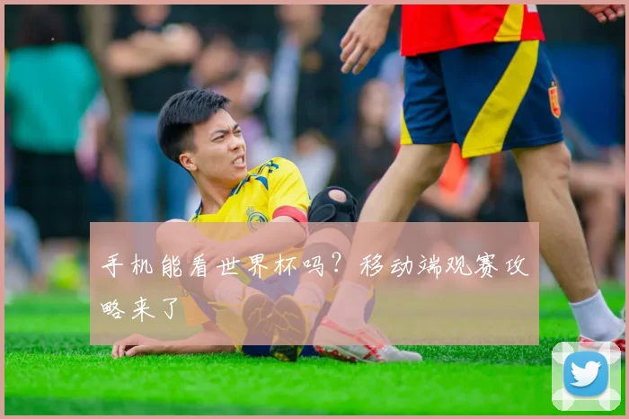 手机能看世界杯吗？移动端观赛攻略来了